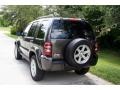 2005 Dark Khaki Pearl Jeep Liberty Limited 4x4  photo #7