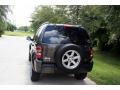 2005 Dark Khaki Pearl Jeep Liberty Limited 4x4  photo #8