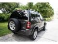 2005 Dark Khaki Pearl Jeep Liberty Limited 4x4  photo #10