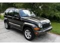 2005 Dark Khaki Pearl Jeep Liberty Limited 4x4  photo #15