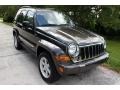 2005 Dark Khaki Pearl Jeep Liberty Limited 4x4  photo #19