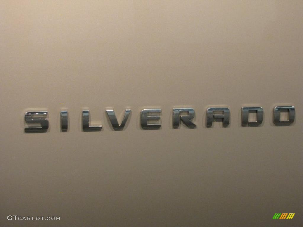 2008 Silverado 1500 Work Truck Regular Cab - Silver Birch Metallic / Dark Titanium photo #6