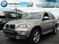 Platinum Bronze Metallic - X5 xDrive30i Photo No. 1