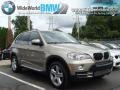 Platinum Bronze Metallic - X5 xDrive30i Photo No. 3