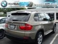 Platinum Bronze Metallic - X5 xDrive30i Photo No. 4