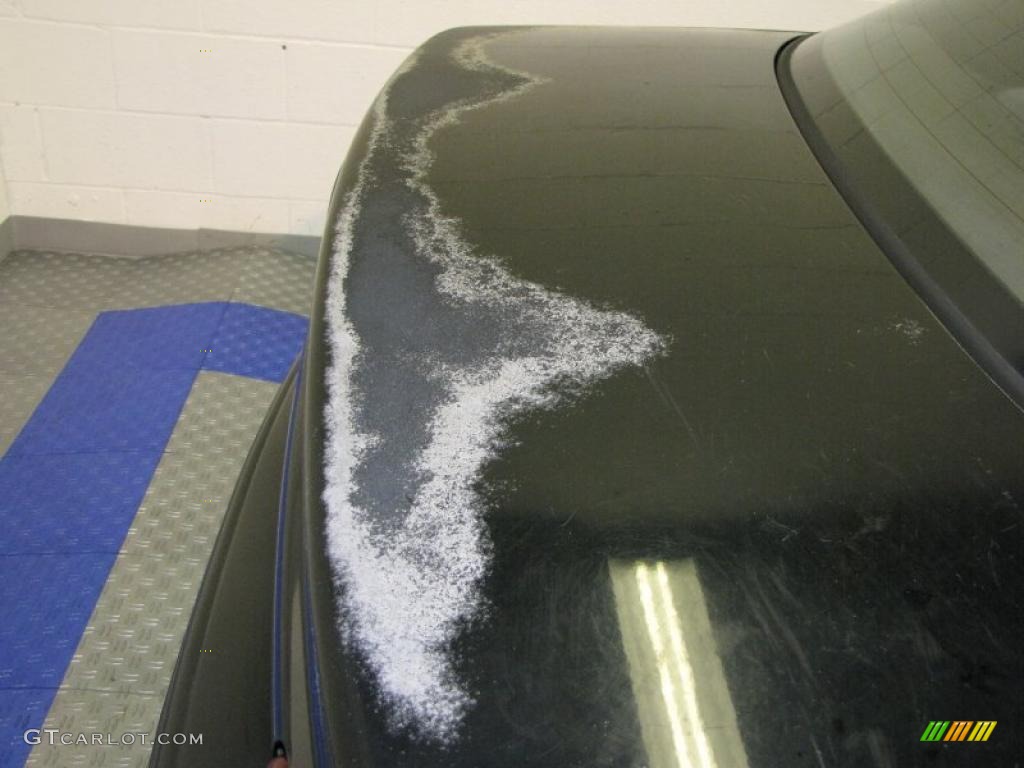 1999 Neon Highline Sedan - Black / Agate photo #21