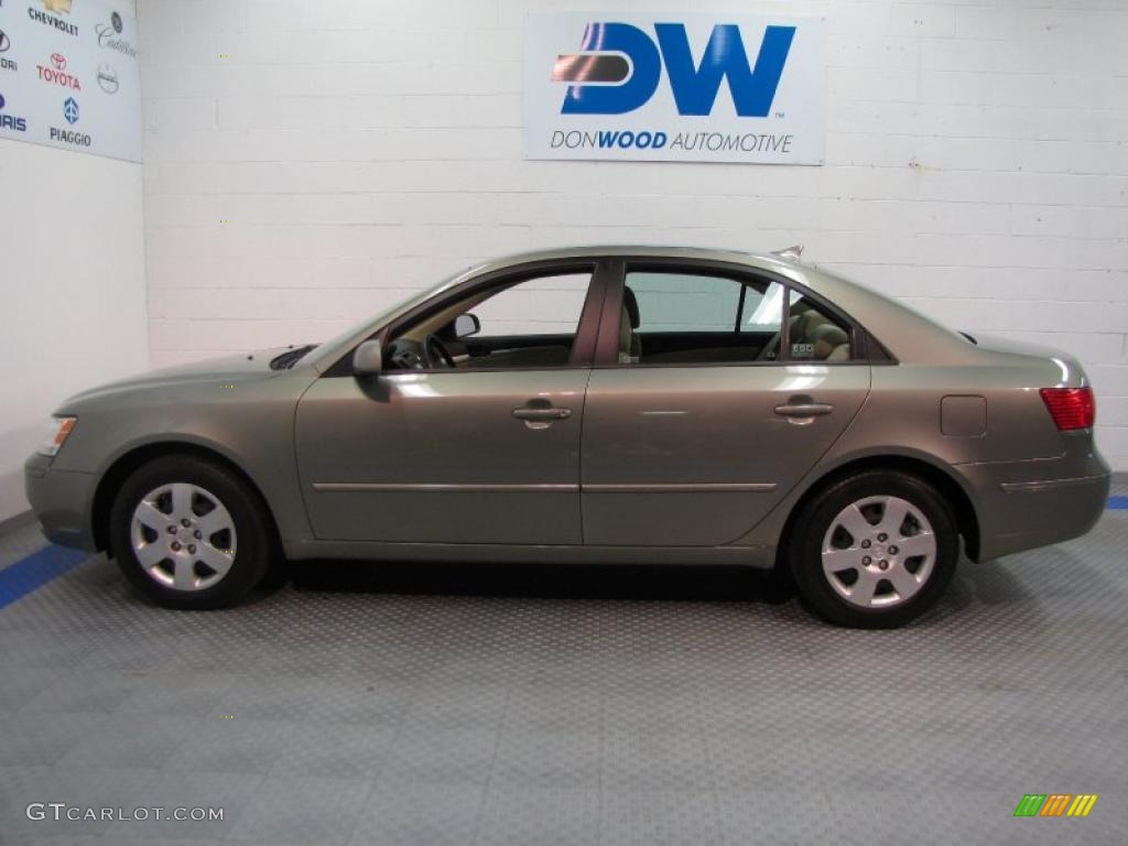 2010 Sonata GLS - Natural Khaki / Camel photo #5