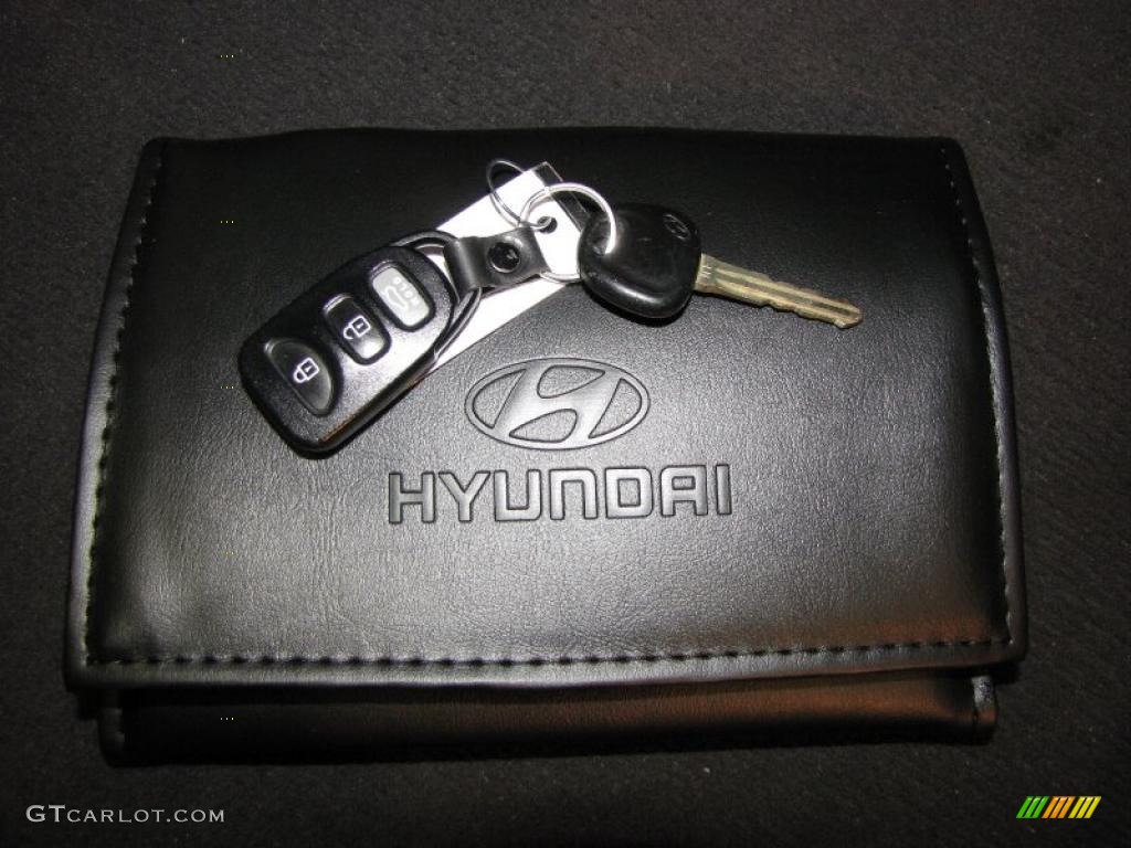 2010 Sonata GLS - Natural Khaki / Camel photo #22