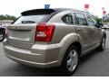 Light Sandstone Metallic - Caliber SXT Photo No. 2