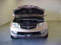 Mesa Beige Metallic - MDX Touring Photo No. 4