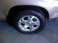 Mesa Beige Metallic - MDX Touring Photo No. 6