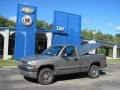 2002 Light Pewter Metallic Chevrolet Silverado 1500 LS Regular Cab 4x4  photo #1