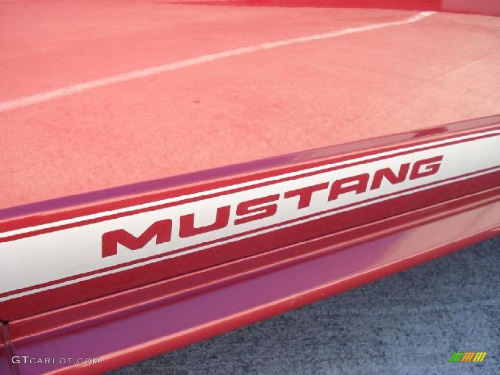 2003 Mustang V6 Coupe - Redfire Metallic / Medium Graphite photo #32