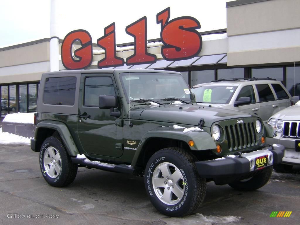 2009 Wrangler Sahara 4x4 - Jeep Green Metallic / Dark Khaki/Medium Khaki photo #1