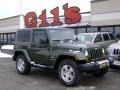 Jeep Green Metallic - Wrangler Sahara 4x4 Photo No. 1