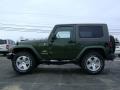 Jeep Green Metallic - Wrangler Sahara 4x4 Photo No. 3