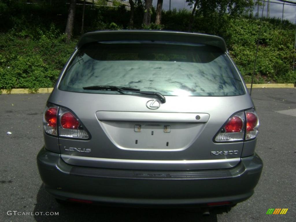 2001 RX 300 AWD - Mineral Green Metallic / Ivory photo #4