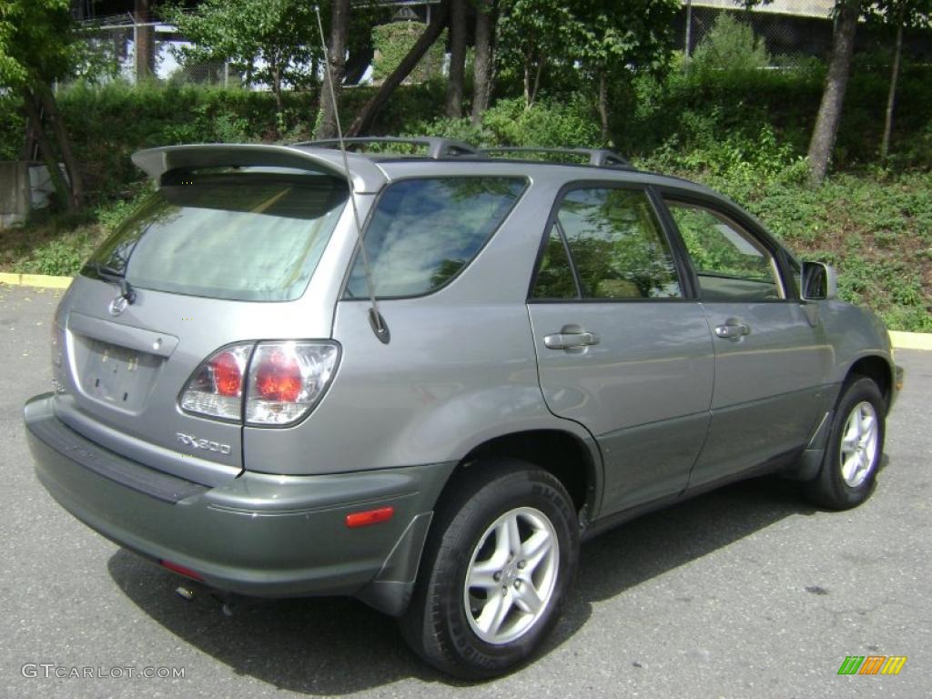 2001 RX 300 AWD - Mineral Green Metallic / Ivory photo #5