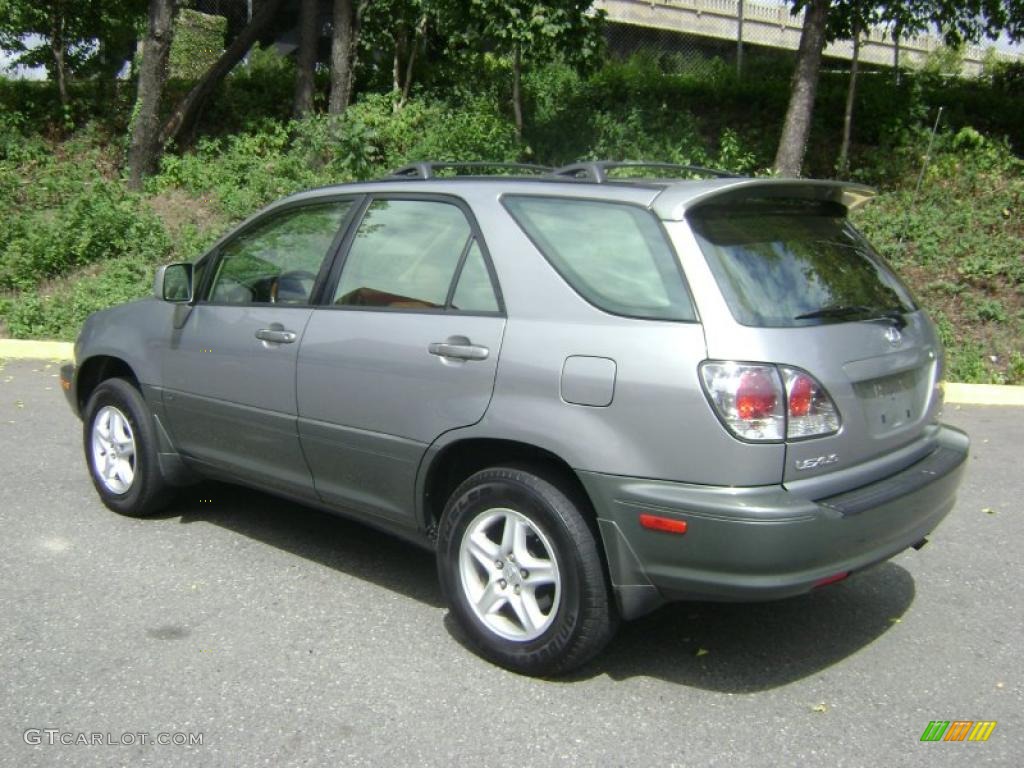 2001 RX 300 AWD - Mineral Green Metallic / Ivory photo #6