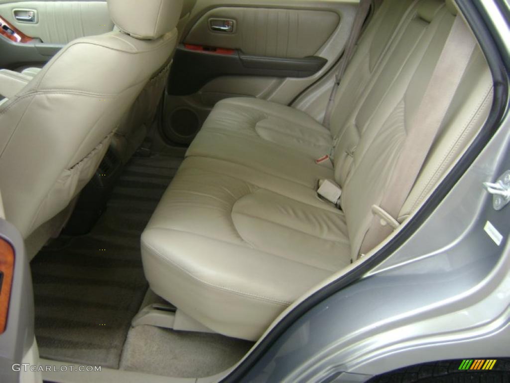 2001 RX 300 AWD - Mineral Green Metallic / Ivory photo #9