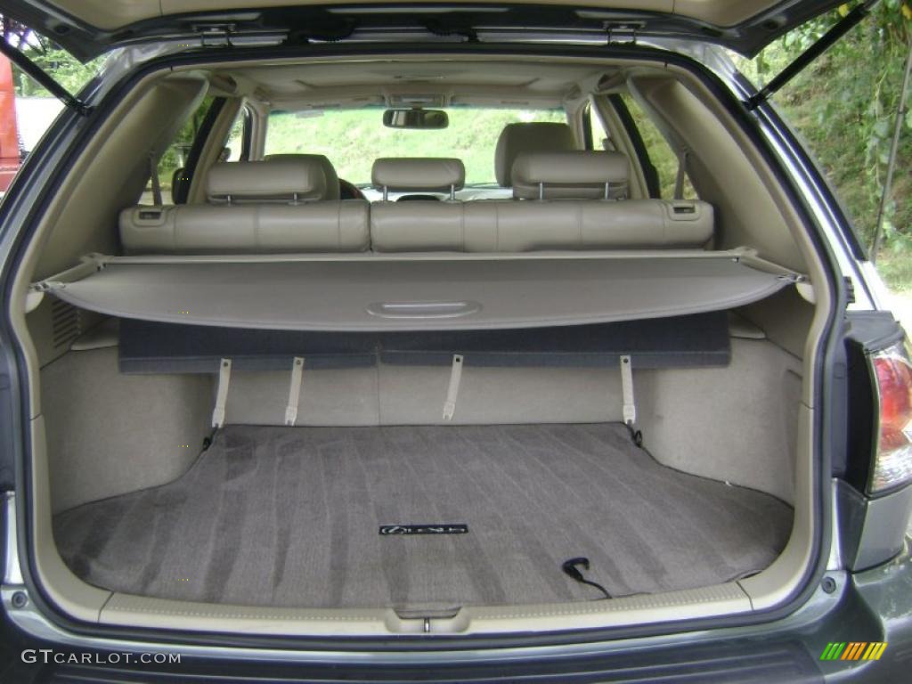 2001 RX 300 AWD - Mineral Green Metallic / Ivory photo #11
