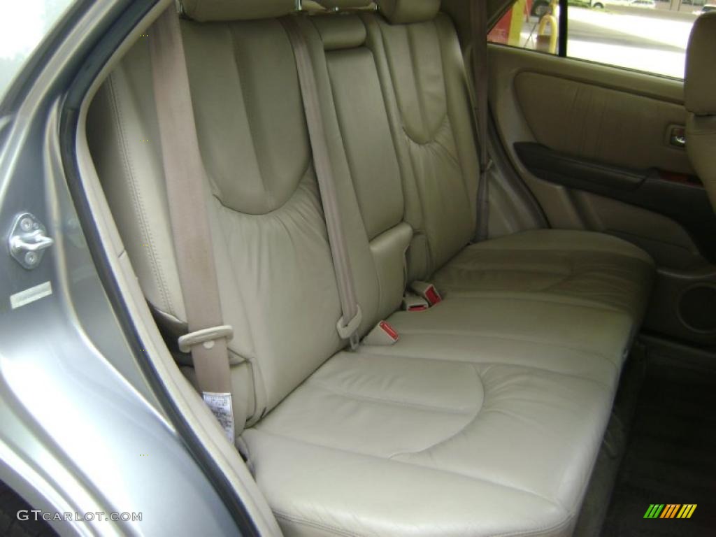 2001 RX 300 AWD - Mineral Green Metallic / Ivory photo #15