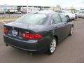 Carbon Gray Pearl - TSX Sedan Photo No. 5