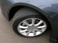 Carbon Gray Pearl - TSX Sedan Photo No. 16