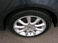 Carbon Gray Pearl - TSX Sedan Photo No. 17