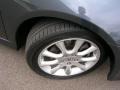 Carbon Gray Pearl - TSX Sedan Photo No. 18