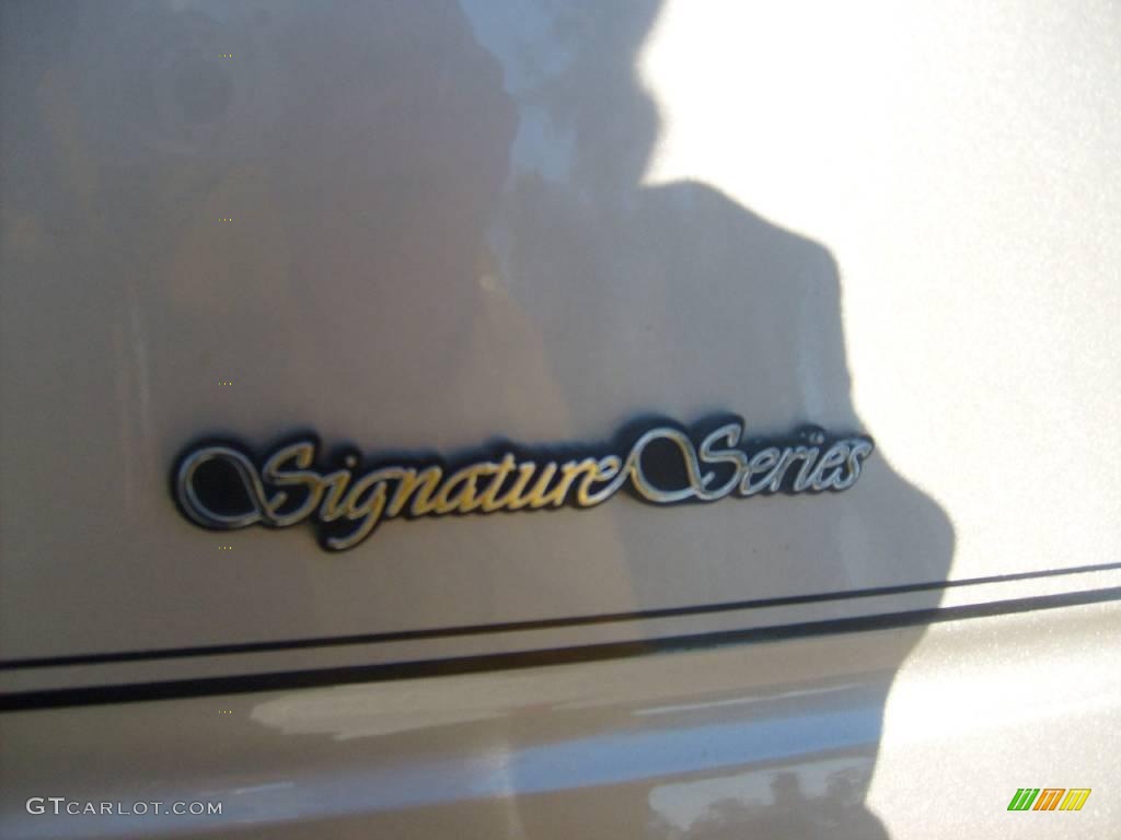 2002 Town Car Signature - Light Parchment Gold / Medium Parchment photo #11