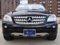 Black - ML 350 4Matic Photo No. 2