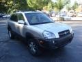 Sahara Silver - Tucson GLS V6 4x4 Photo No. 6