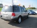 2006 Silver Birch Metallic Ford Expedition XLT 4x4  photo #5