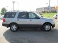 2006 Silver Birch Metallic Ford Expedition XLT 4x4  photo #6