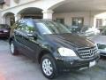 Black - ML 350 4Matic Photo No. 1