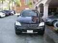 Black - ML 350 4Matic Photo No. 6
