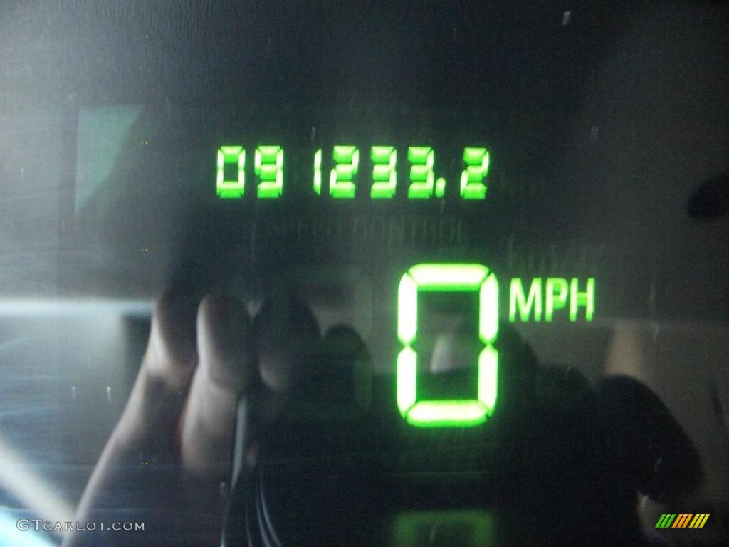 2004 Grand Marquis LS - Silver Birch Metallic / Light Flint photo #2