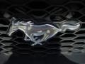 2005 Satin Silver Metallic Ford Mustang V6 Premium Coupe  photo #17
