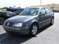 2004 Platinum Grey Metallic Volkswagen Jetta GLS Sedan  photo #7