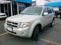 2008 Light Sage Metallic Ford Escape Limited 4WD  photo #1