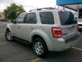 2008 Light Sage Metallic Ford Escape Limited 4WD  photo #3