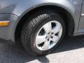 Platinum Grey Metallic - Jetta GLS Sedan Photo No. 13