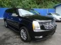 Black Raven - Escalade ESV AWD Photo No. 6