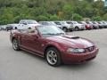 40th Anniversary Crimson Red Metallic 2004 Ford Mustang GT Convertible Exterior