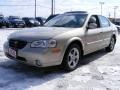 Sunlit Sand Metallic - Maxima GLE Photo No. 7