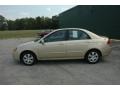 Sand Beige Metallic - Spectra EX Sedan Photo No. 7