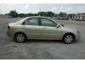 Sand Beige Metallic - Spectra EX Sedan Photo No. 8