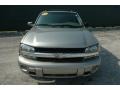 Light Pewter Metallic - TrailBlazer LS 4x4 Photo No. 2