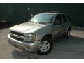 Light Pewter Metallic - TrailBlazer LS 4x4 Photo No. 3